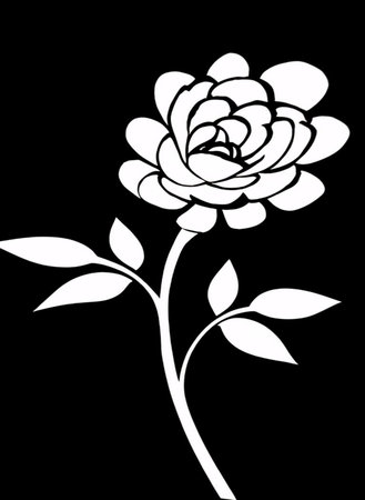 Black and white peony on a black background. Vector illustration.の素材