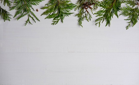 Christmas composition with live branches of a coniferous tree. The form for the text of the New Year...