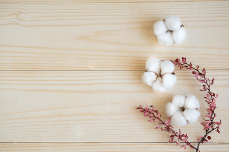 Wooden background with cotton flowers and natural dried leaves of the shrub. Background with natural cotton flowersの写真素材