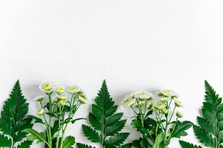 Frame for greeting card. Background for a banner with flowers and space for copywriting. Template...