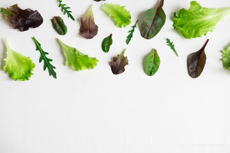 Green salad leaves on a white background. Pattern with lettuce leaves. Background design with leaves for salad. Pattern with lettuce leaves.の写真素材