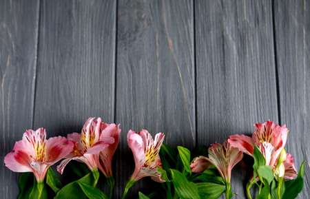 Frame for the text of congratulations with natural flowers of Alstroemeria on a wooden background. Design greeting card with natural colors. Background for text with alstromeria.の写真素材