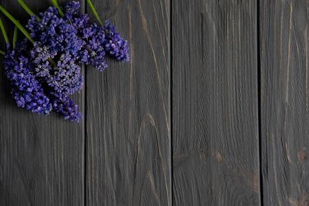 Beautiful purple flowers on a gray wooden background with space for a congratulatory inscription. Frame for greeting banner, postcard.