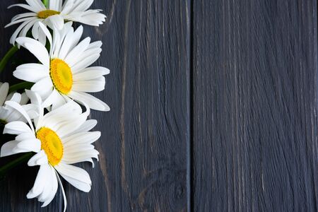 Frame for text with daisies. Daisies on a light wooden background. Design basis for greeting card. Floral banner, background.の写真素材