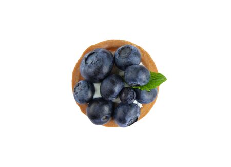 Macro photo of tartlets with bilberry, blueberries and mint leaves isolated on white background. Cakes with cheese cream and fresh blueberriesの写真素材