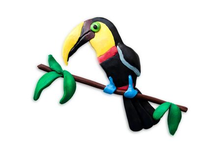 Plasticine toucan closeup isolated on white background. Tropical plasticine bird molded with his own hands.の写真素材
