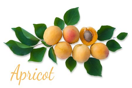 Background with apricots. Photo of fresh apricot with green leaves and place for copy space on a white wooden background. Apricots close-up.の写真素材