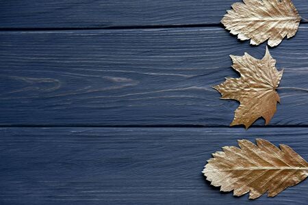 Golden autumn. Leaves of trees of gold color on a gray wooden background