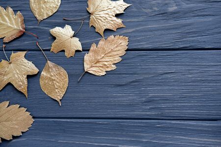 Leaves of trees of gold color on a gray wooden background. Golden autumn.