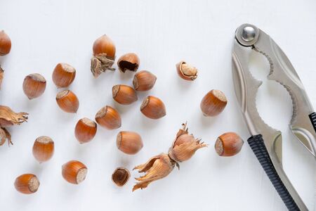 Hazelnuts on a light background. Healthy nuts. Fruits of a forest shrub, hazel.の写真素材