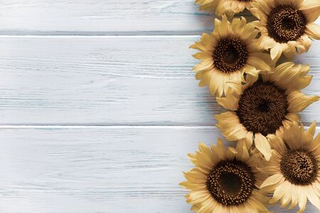 Background with flowers of sunflowers on a wooden background and with place for an inscription. Background with sunflowersの写真素材