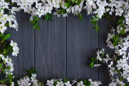 Frame of branches of blooming cherry on a gray wooden background. Spring background with flowersの写真素材