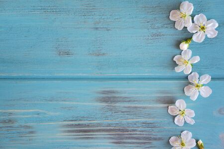 White spring flowers on a blue wooden background with a place for inscription. Spring frame for text. Banner with white flowers.の写真素材