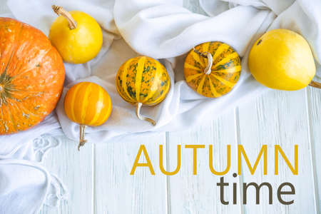 Autumn postcard Autumn time. November greeting card. Pumpkins on a light wooden background. Autumn...