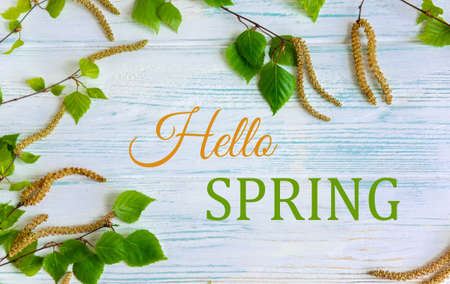 Hello spring. Greeting card with the inscription. Earrings and birch branches on the background. Postcard for mailingの写真素材