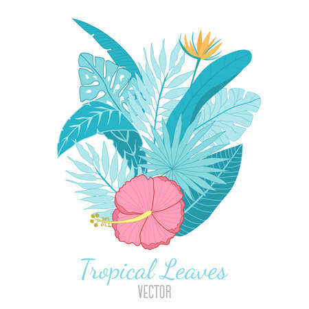 Composition of blue palm leaves with hand drawn tropical flower and hibiscus on white background. Vector illustration of palm leaves. Vector summer leaves compositionのイラスト素材