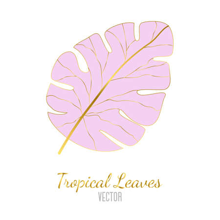 Vector illustration of a palm leaf pink with gold on a white background. A creative flyer for creating collages and designs. Trending tropical illustrationsのイラスト素材