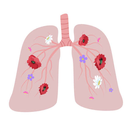 World Asthma Day. Human lungs. Concept on the theme of healthy lungs in humans.のイラスト素材