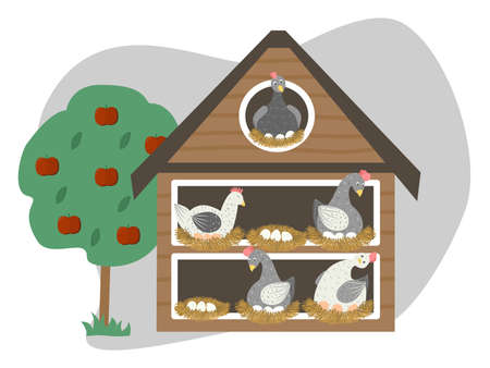 Chicken coop vector illustration. Hens incubate eggs in nests in henhouse. Farming and rearing poultryのイラスト素材
