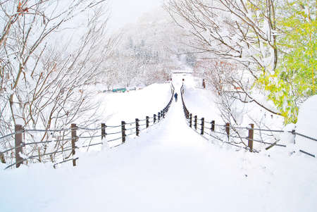 Bridgeの写真素材