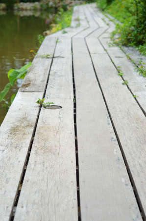 wooden bridgeの写真素材