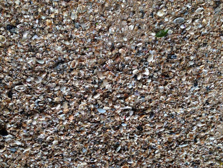 on the beach