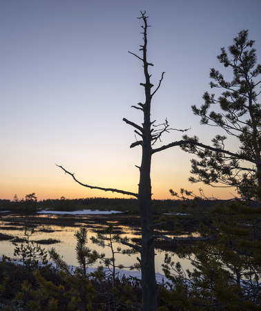 Spring evening in the Khanty-Mansiysk Autonomous Okrug.