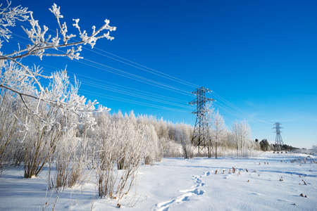 The winter landscape. Snowy forest on a Sunny day.の写真素材