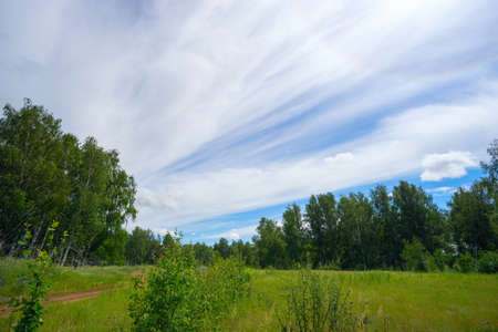 Long streaks of clouds in the sky above the forest . Summer landscape.の写真素材