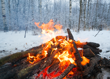 The fire in the winter woods .の写真素材
