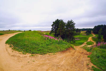 Koltush heights - natural landscape, Zuevo urban settlement, Vsevolozhsky district, Leningrad region, Russiaの写真素材