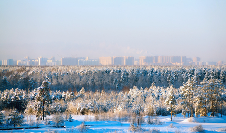 Winter view from the height of the residential complex New Okhta, Murino village, St. Petersburg.の写真素材