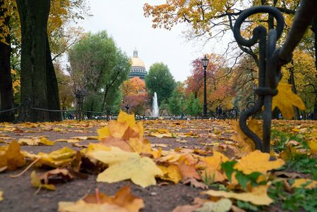 Autumn landscape, Park paths covered with fallen leaves. St. Petersburg's Alexandrovsky Park.の写真素材