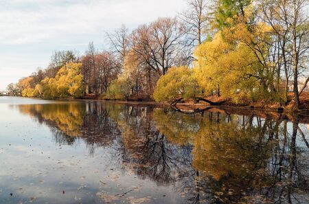 The pond in the late autumn .Elagin island. Saint-Petersburg