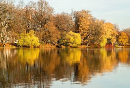 The pond in the late autumn .Elagin island. Saint-Petersburg