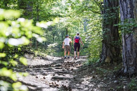 Mother and son go up the path with cones in the pine forest. Crimea. Yalta. Lower Botkin's pathway.の写真素材