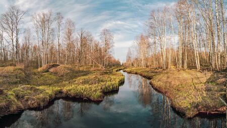 River in the forest in spring. Lepsari river, Leningrad region.の写真素材
