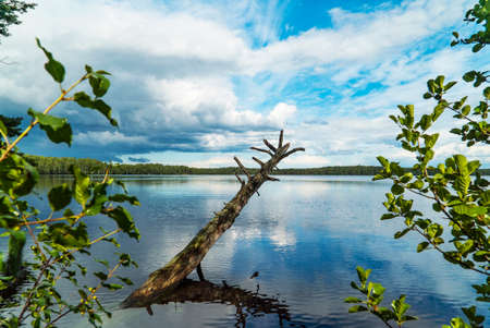 Lake with a mirror image on a Sunny day, blue sky and white clouds.の写真素材