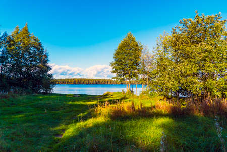 Green glade in front of the lake . Summer landscape .