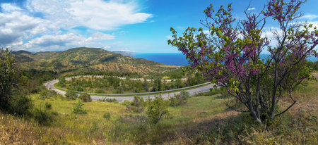 Picturesque mountain highway on the Sudak-Alushta sectionの写真素材