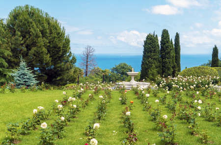 In the park of the Livadia . Crimea. Yaltaの写真素材