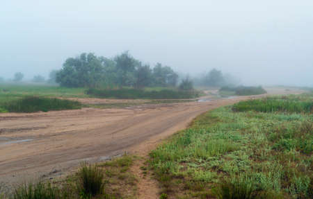 The road along the sea coast in the early morning in a fog. Crimea. The village of Molochnoyeの写真素材