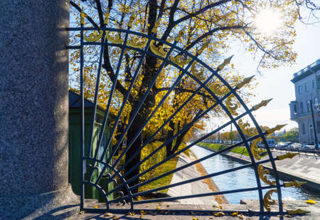 A fragment of the fence of the Summer Garden at the Swan Groove. Saint-Petersburg. Russia.の写真素材