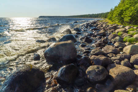 Summer landscape on the shore of Lake Ladoga. Vidlitsa. Karelia.の写真素材