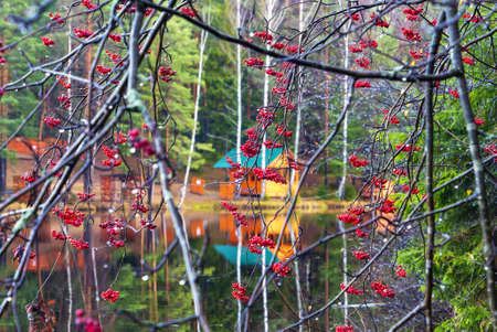 Autumn landscape. A long lake in the Rumbolovsky forest. Leningrad region, Vsevolozhsk.の写真素材