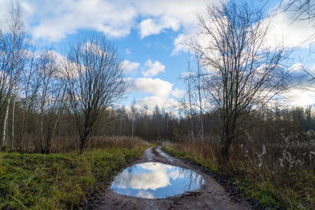 Reflection in a puddle.Autumn landscape.Leningrad region, Vsevolozhsk,の写真素材