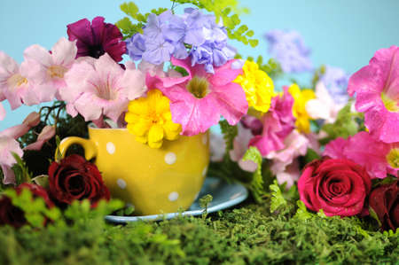 Beautiful Springtime bright and colorful floral display on green grass with petunia, marigold and rose Spring flowers, and polka dot cup against a cheerful blue background の写真素材