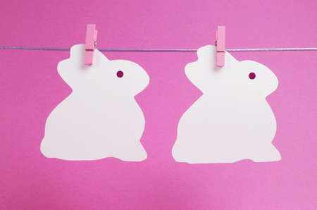 Pink theme two bunny rabbit shape Easter cards hanging from pegs on a line, with copy space for your text here の写真素材