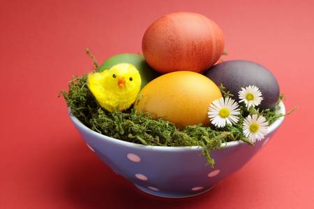 Bright and cheerful Happy Easter still life with rainbow color eggs in blue polka dot bowl against a red background の写真素材