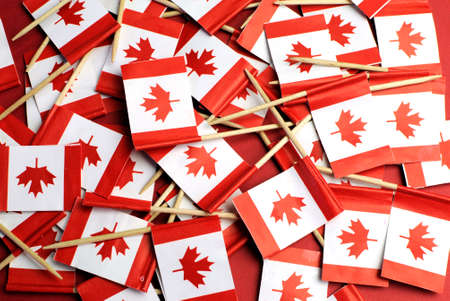 Abstract background of Canada red and white Maple Leaf national toothpick flags for national emblem or public holiday event, with copy space for your text here の写真素材